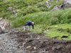 Isle of Eigg
