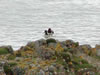 Isle of Eigg